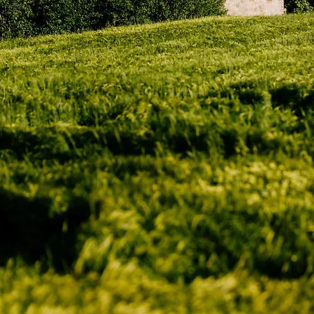 Piekne Pole * Laziska (Boleslawiec)