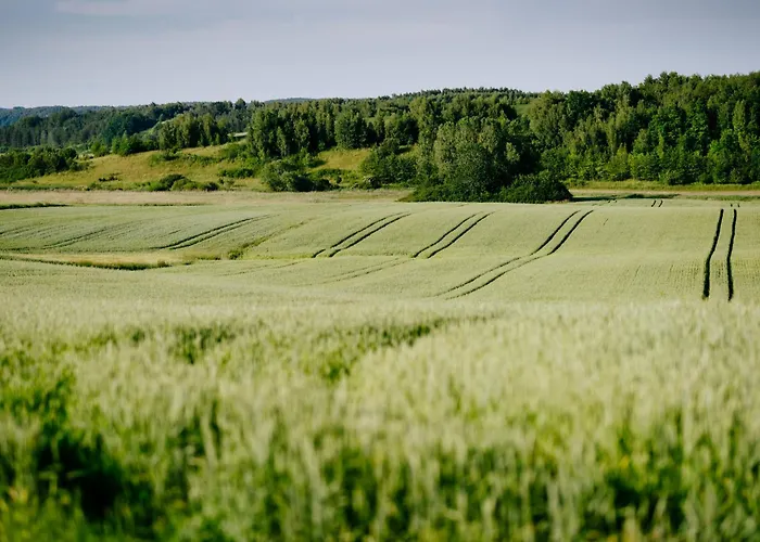 Piekne Pole Prázdninový dům Laziska (Boleslawiec)