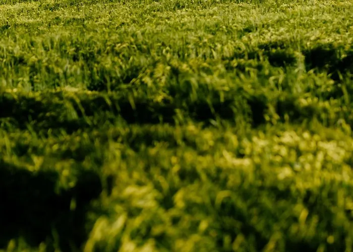 Piekne Pole * Laziska (Boleslawiec)